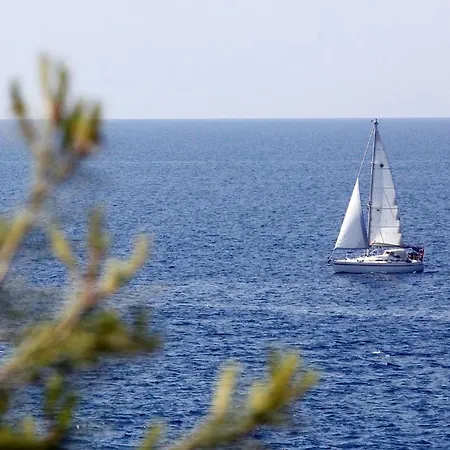 In Pula/istrien 17379 Apartmán *